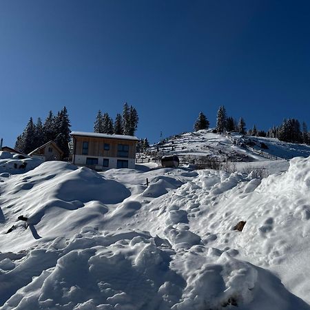 Berglisl - Direkt An Der Schipiste! Neue Ferienwohnung Mit Sauna Klippitztorl Exterior foto